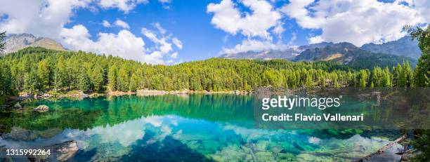 lagh da saoseo, val di campo - switzerland - switzerland lake stock pictures, royalty-free photos & images