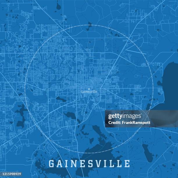 ilustrações, clipart, desenhos animados e ícones de gainesville fl city vector road map blue text - gainesville florida