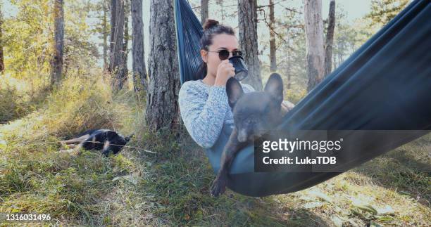 it's cuddle time - sunglasses and puppies stock pictures, royalty-free photos & images