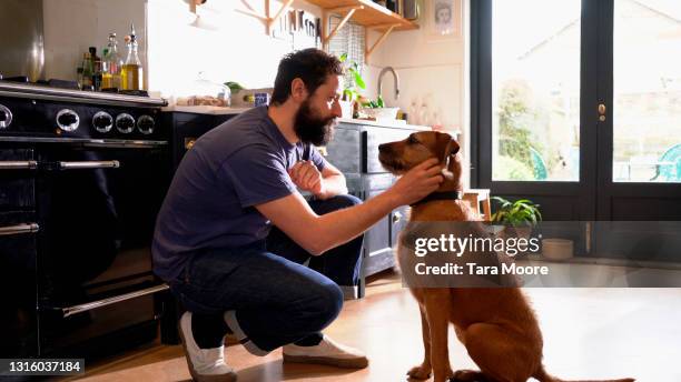 man patting dog in kitchen - pet 個照片及圖片檔