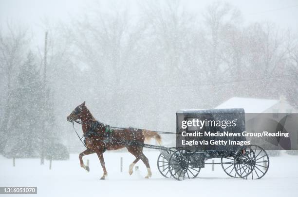 Is pictured during the snow storm Tuesday afternoon. Photo by Natalie Kolb 3/14/2017