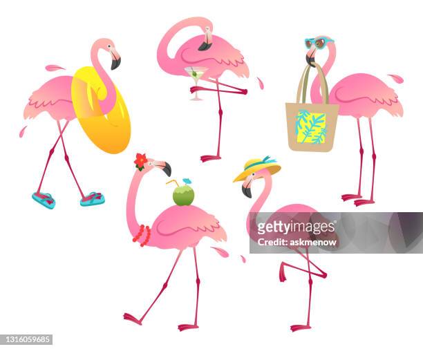 ilustraciones, imágenes clip art, dibujos animados e iconos de stock de divertido juego de personajes flamencos - flamingos