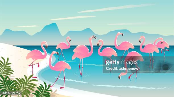 group of pink flamingos on a beach - flamingos stock illustrations