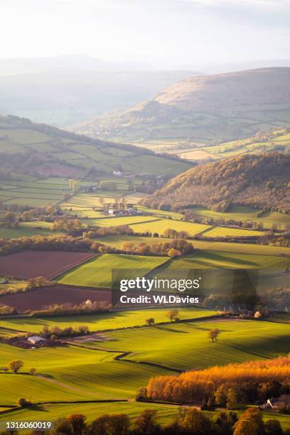 rural welsh landscape - spring valley road stock pictures, royalty-free photos & images