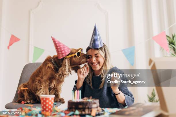 hundegeburtstagsparty macht spaß - birthday stock-fotos und bilder