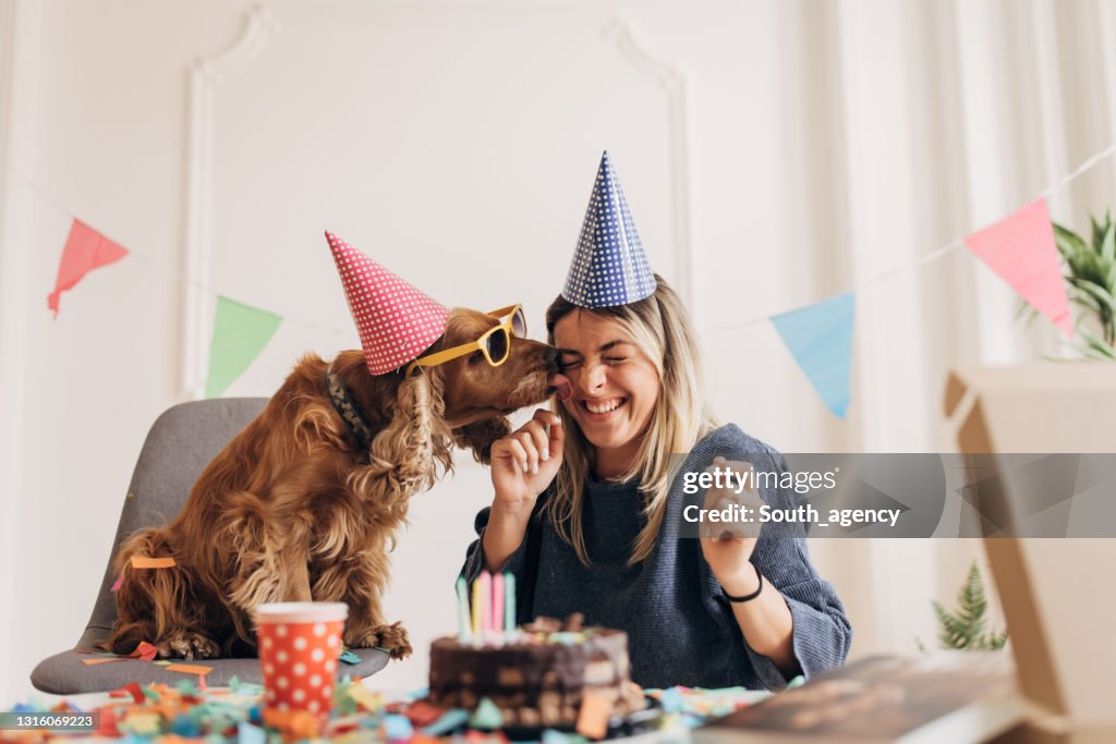 Festa de aniversário do cachorro é divertida