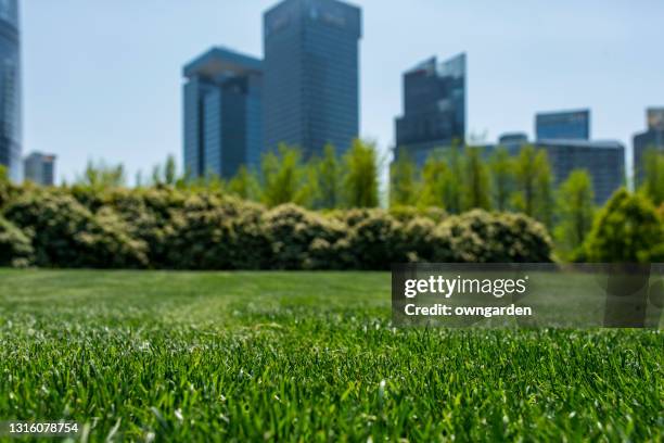 nice green lawn/grass. - low angle view grass stock pictures, royalty-free photos & images