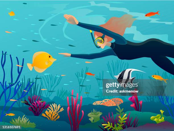 frau unter wasser mit korallenfischen - hartkoralle stock-grafiken, -clipart, -cartoons und -symbole