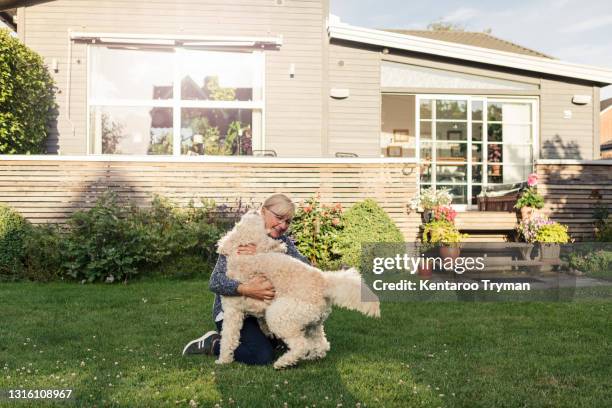 mature woman embracing dog at front yard - front lawn stock pictures, royalty-free photos & images