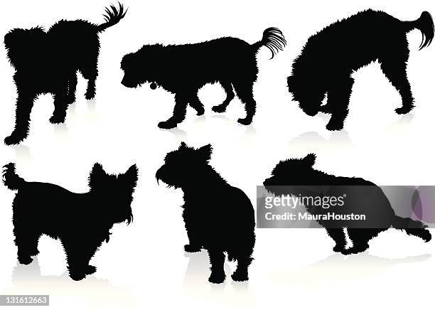 silhouetten von hunden - west highland white terrier stock-grafiken, -clipart, -cartoons und -symbole