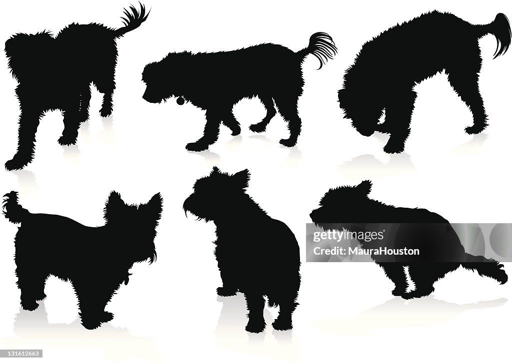 Silhouettes of Dogs