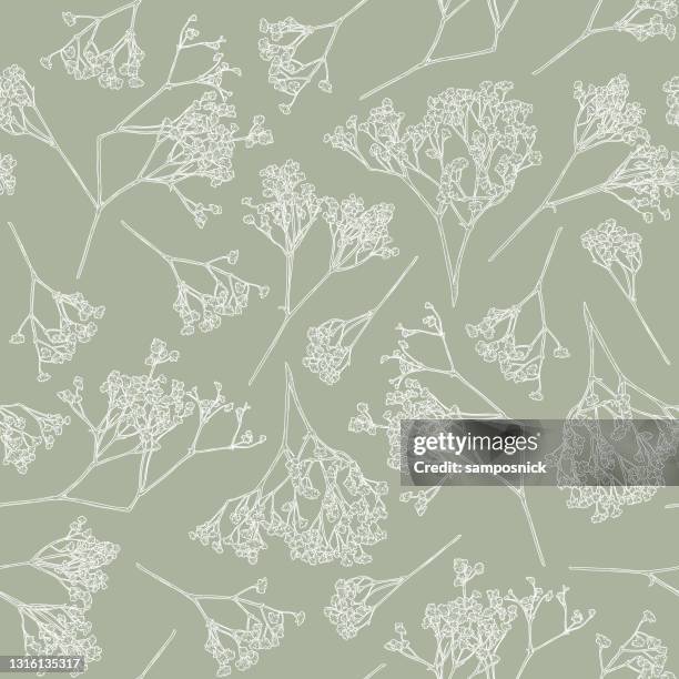 zarte baby atem nahtlose blumenmuster - gypsophila stock-grafiken, -clipart, -cartoons und -symbole