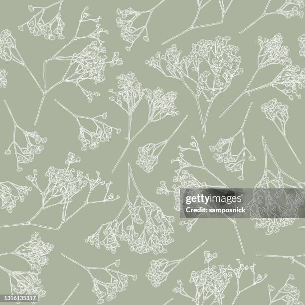 delicate baby's breath seamless floral pattern - gypsophila stock illustrations