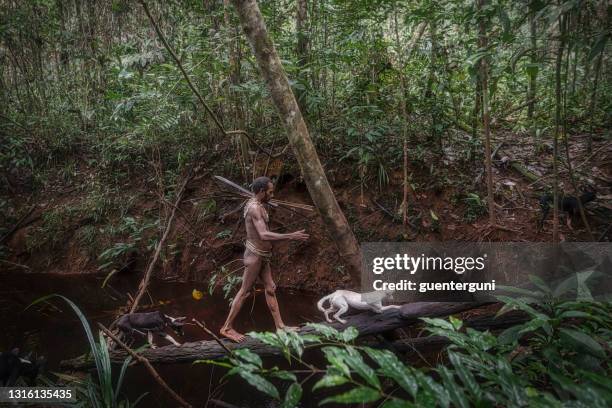 mann des korowai-stamms jagt west-papua, indonesien - prähistorisches zeitalter stock-fotos und bilder