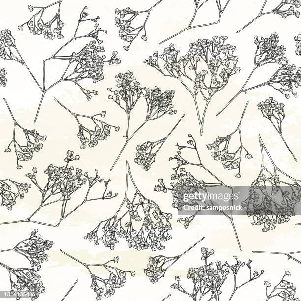 ilustraciones, imágenes clip art, dibujos animados e iconos de stock de delicado patrón floral sin costuras de la respiración del bebé - babys breath vector