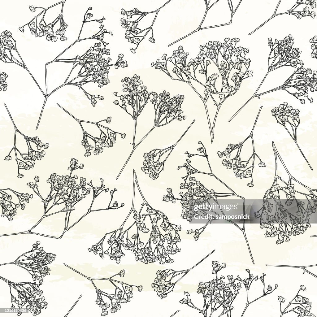 Delicate baby's adem naadloze bloemen patroon