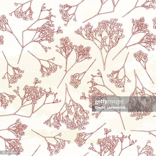 delicate baby's breath seamless floral pattern - gypsophila stock illustrations