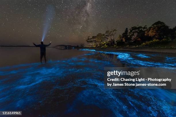 bioluminescence selfie under the milky way - bioluminescência imagens e fotografias de stock