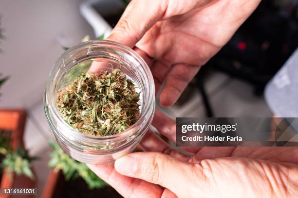 hands holding an full marijuana glass jar - top view - cannabis droge stockfoto's en -beelden