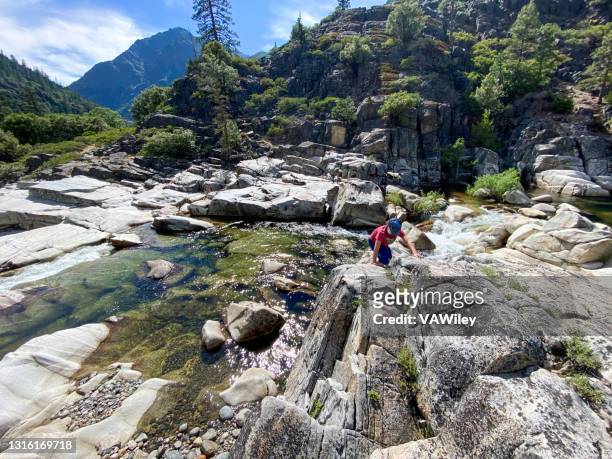 father and child go on a beautiful hike in the california wilderness - lake tahoe stock pictures, royalty-free photos & images