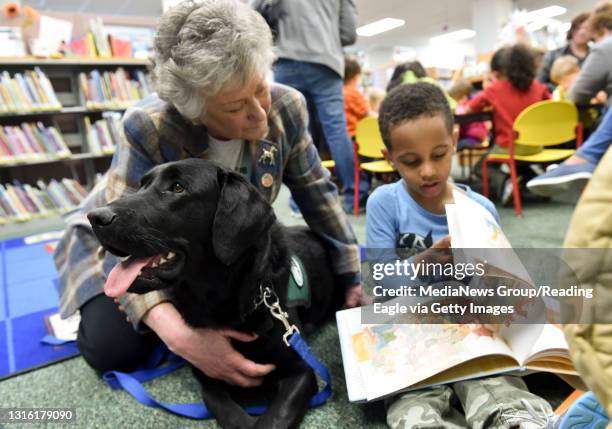 Spring Township Library 59 Orion (Dog) Stock Photos, High-Res Pictures, and Images - Getty Images