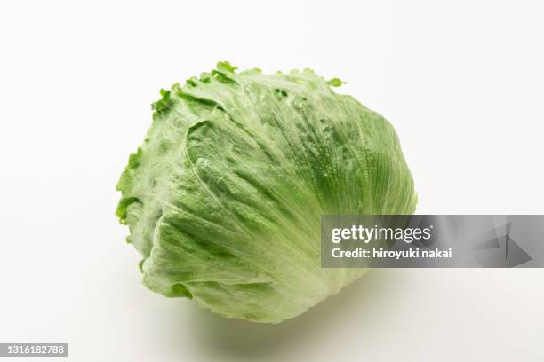 lettuce - lettuce ストックフォトと画像