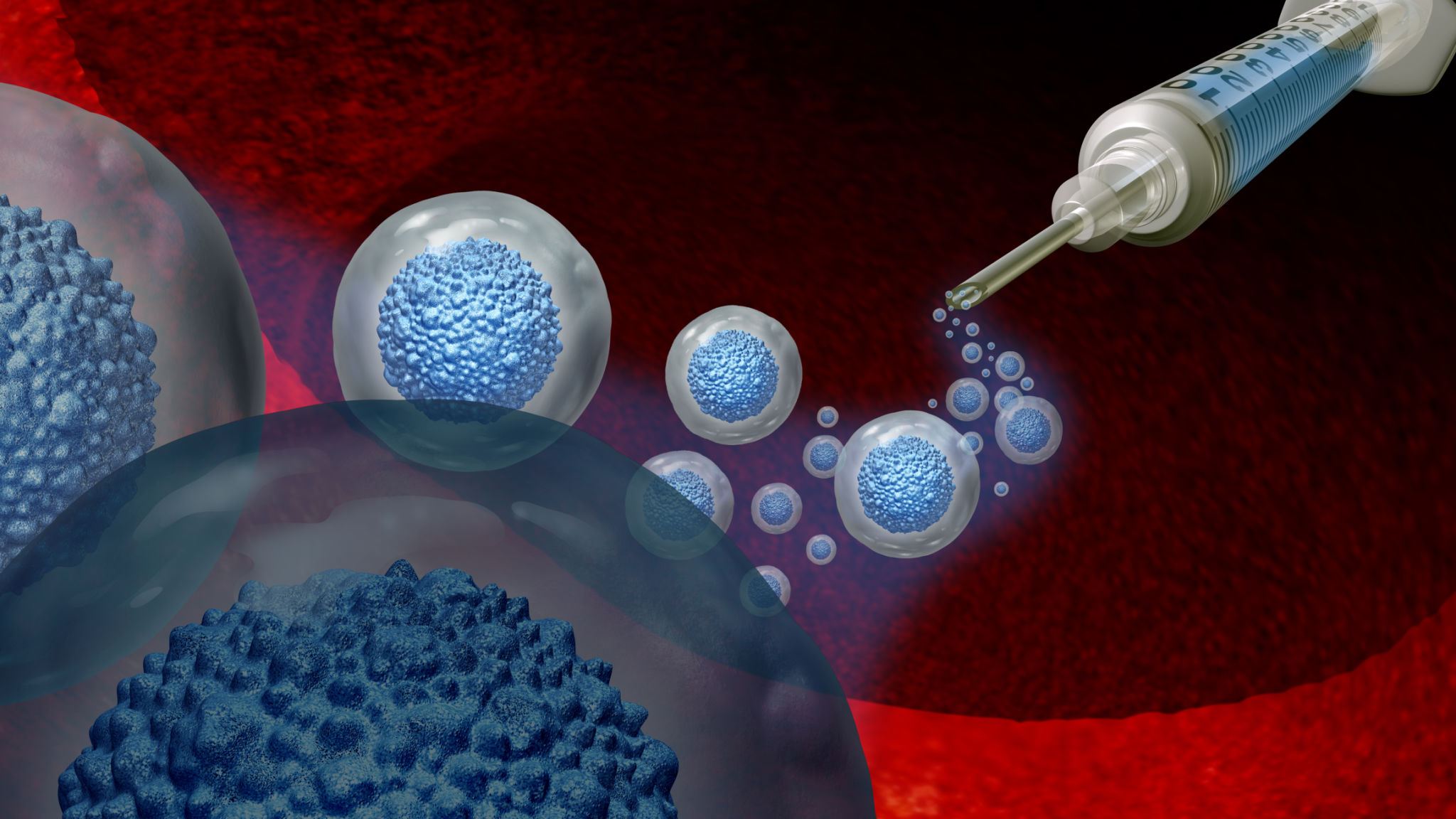 stem cells