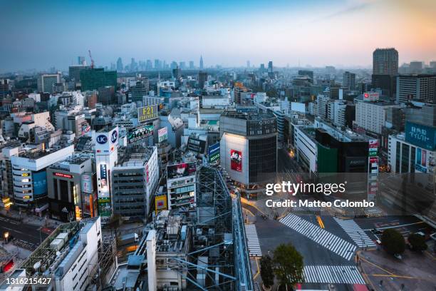 tokyo city at sunrise with shibuya crossing, japan - shibuya stock pictures, royalty-free photos & images