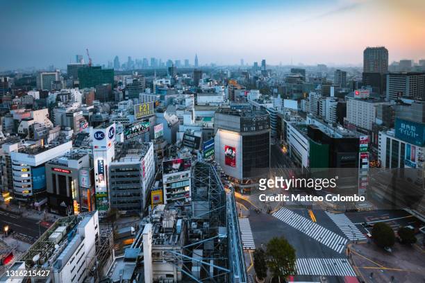 tokyo city at sunrise with shibuya crossing, japan - distrito de shibuya - fotografias e filmes do acervo