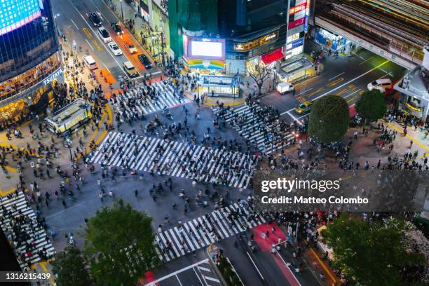 aerial of shibuya pedestrian crossing, tokyo, japan - 交差 ストックフォトと画像