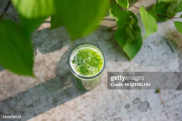 a glass of cucumber juice and outdoor natural green background - cucumber leaves stock pictures, royalty-free photos & images