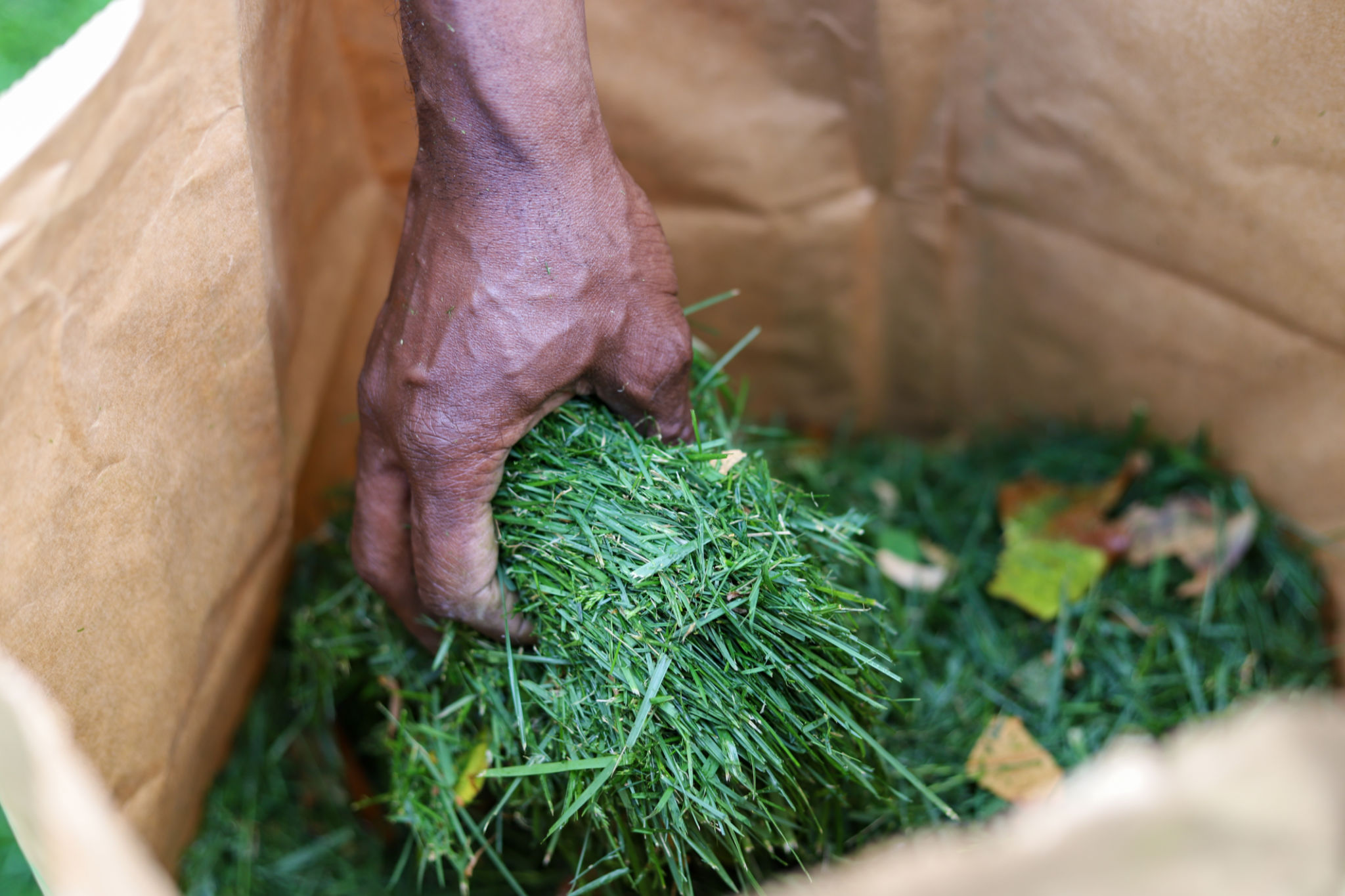 grass clippings benefits