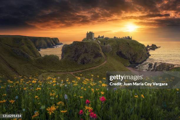 spring is coming at the last bastion - dunnottar castle (stonehaven, scotland, united kingdom) - dunnottar castle 個照片及圖片檔