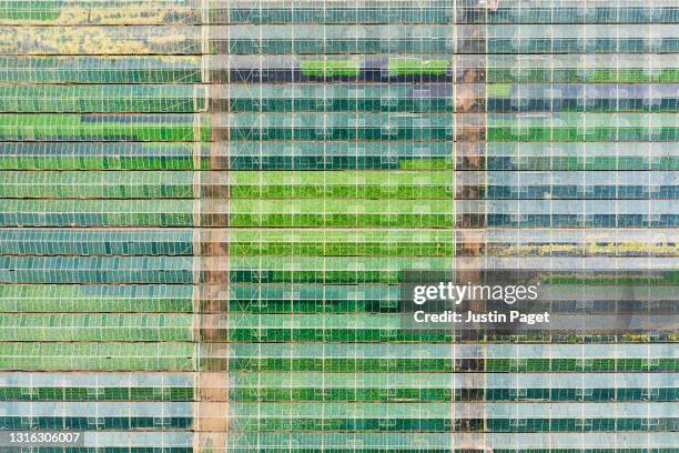 drone view over commercial greenhouses - hothouse stock pictures, royalty-free photos & images