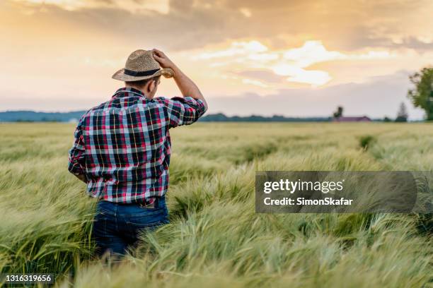 Spring Farm Sad Sad Farm Photos and Premium High Res Pictures - Getty Images