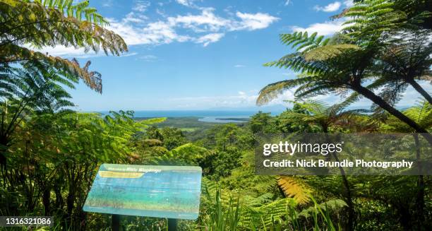 Daik Tree Daintree Reef Photos and Premium High Res Pictures - Getty Images