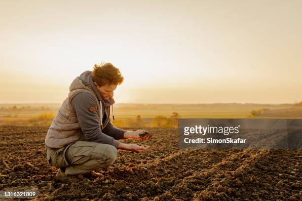 agricoltore che controlla il suolo sul campo - campo arato foto e immagini stock