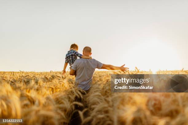 father and son having fun on field at sunset - wheat crop stock pictures, royalty-free photos & images