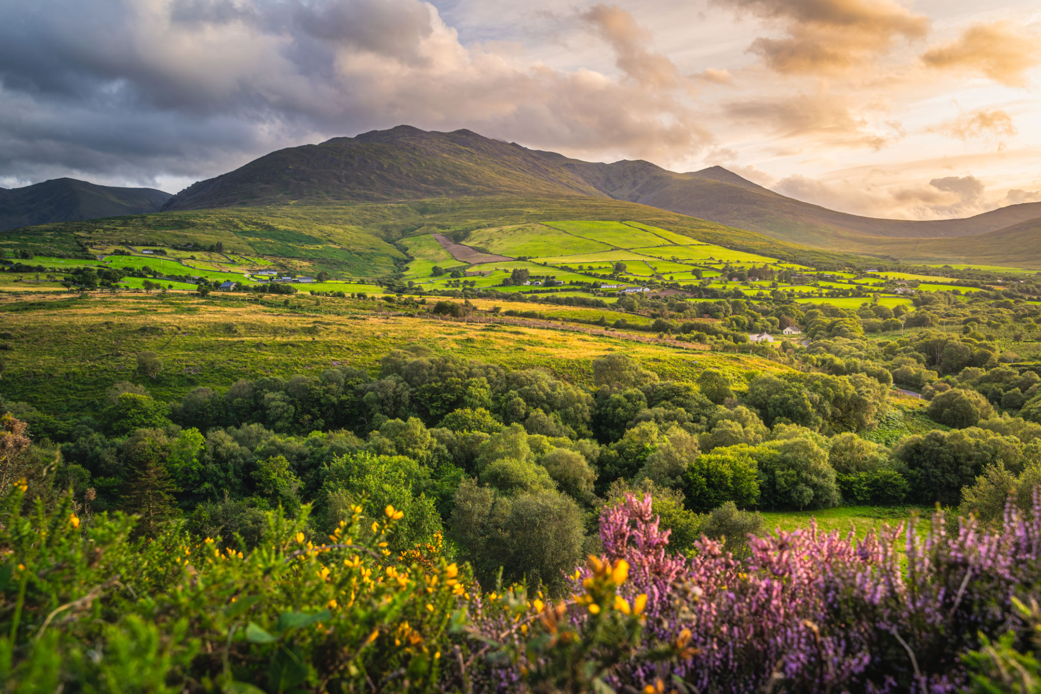 irish countryside