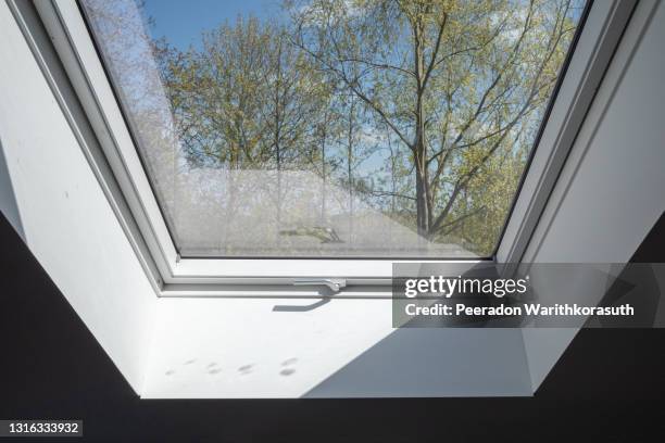 close up view at white tilt window skylights  at attic and defocused of outdoor tree in spring season. - skylight stock pictures, royalty-free photos & images