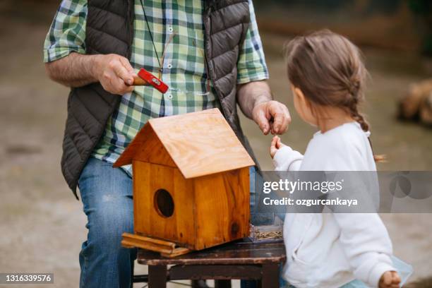 grootvader en kleindochter die houten vogelhuis samen maken - birds nest stockfoto's en -beelden