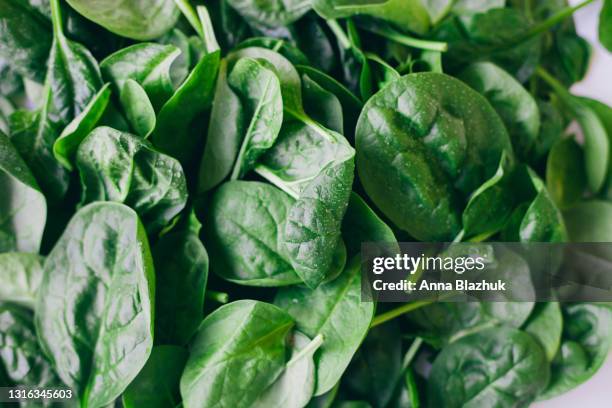 spinach green leaves close-up food background. - spinach stock pictures, royalty-free photos & images