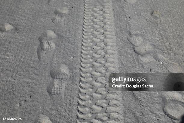 Sand Racing Marks 277 Track Marks Sand Stock Photos, High-Res Pictures, and Images ...