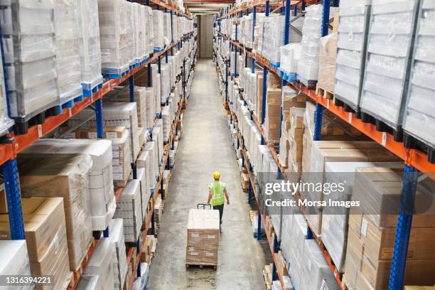 worker pulling cardboard boxes at warehouse - pallet industrial equipment fotografías e imágenes de stock