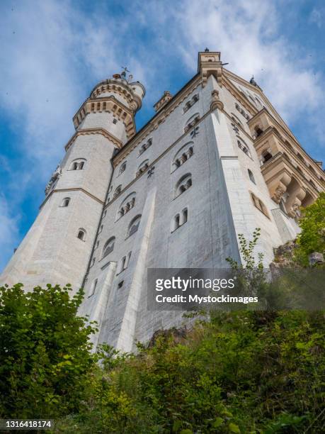 rear view of neuschwantein castle in germany - neuschwanstein stock pictures, royalty-free photos & images