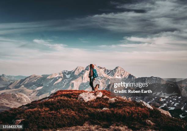 reaching the summit with the dog, a woman with backpack in the top of a mountain looking at the landscape - reaching summit stock pictures, royalty-free photos & images