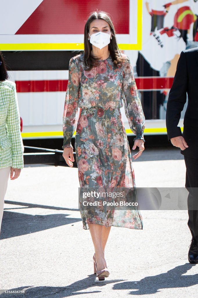 Queen Letizia Attends Attend Red Cross Fundraising Day