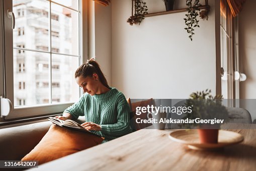 Female Looking At Old Photo Album In Home Kitchen Female Looking At Old Photo Album In Home Kitchen