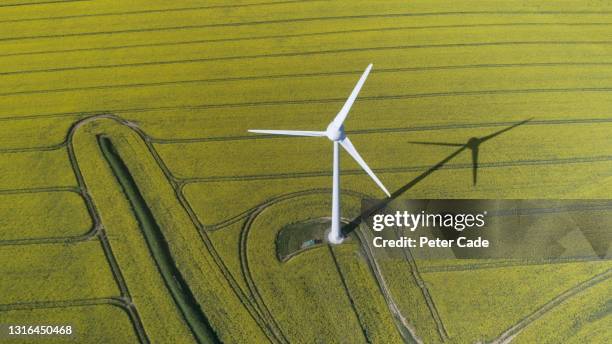wind turbine in field of oilseed rape - sudoeste da inglaterra imagens e fotografias de stock