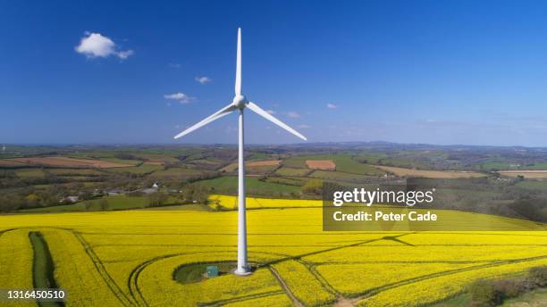 wind turbine in field of oilseed rape - south west england fotografías e imágenes de stock